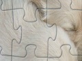 Jogo Puppies jigsaw