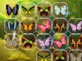 Jogo Batterfly Connect