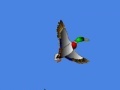 Jogo I just seen a duck 