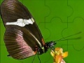 Jogo Fantastic butterfly puzzle
