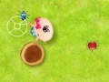 Jogo Catch the Insects