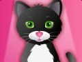 Jogo Kitty Grooming Salon