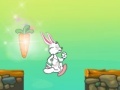 Jogo Little Rabbit