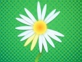Jogo Daisy petals