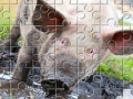 Jogo Little Piggy Jigsaw