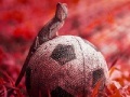 Jogo Lizard puzzle