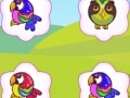 Jogo Bright Birds Matching