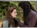 Jogo Swing and set the twilight saga new moon