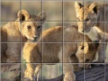 Jogo Swing and set african cats