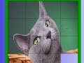 Jogo Grizzle cat slide puzzle