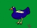 Jogo Fan of Birds