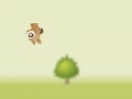 Jogo Raccoon rush