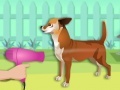 Jogo Dress My Pet