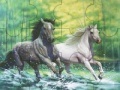 Jogo Fabulous running horses puzzle