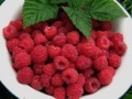 Jogo Raspberry puzzle 