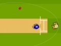 Jogo Cricket World Cup 2011