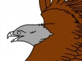 Jogo Birds Coloring Book