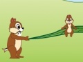 Jogo Squirrel Mania
