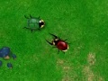 Jogo Beetle Wars
