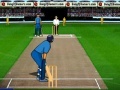 Jogo Cricket Championship