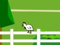 Jogo Chicken Impossible