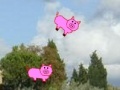 Jogo Shoot the pigs