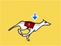 Jogo Greyhound Racer DX