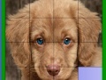 Jogo Blue eyed dog slide puzzle