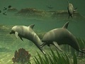 Jogo Big dolphins slide puzzle