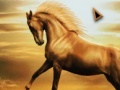 Jogo Horse Differences
