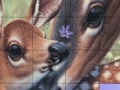 Jogo Deers and Lovely Day Slide Puzzle