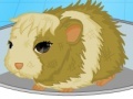 Jogo Guinea pig needs owner