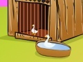Jogo Duck escape