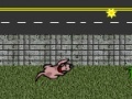 Jogo Dog in city