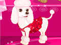 Jogo Celebrity Dog