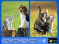 Jogo Pet Animals - Similarities