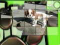 Jogo Pretty Puppies Puzzles